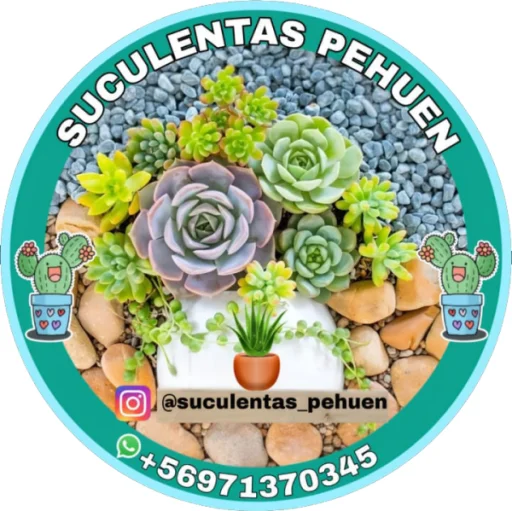 Logo de Suculentas Pehuen